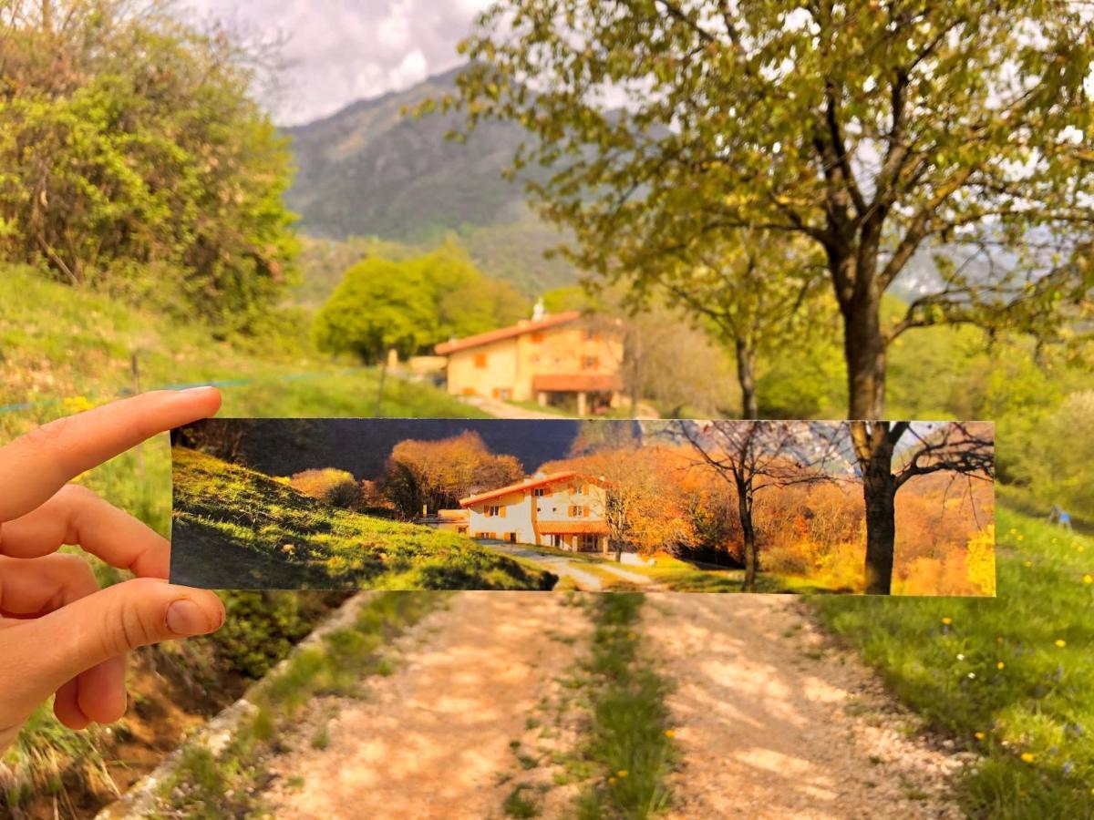 Agriturismo San Lorenzo Di Persegno